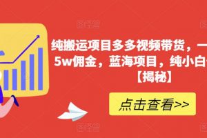 纯搬运项目多多视频带货,一个月搞了5w佣金,蓝海项目,纯小白也能操作【揭秘】