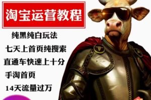 猫老师·淘系算法逆向解密,纯黑纯白玩法,七天上首页纯搜索,手淘首页14天流量过万