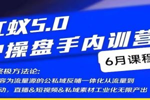 红蚁5.0IP操盘手内训营,IP操盘终极方法论