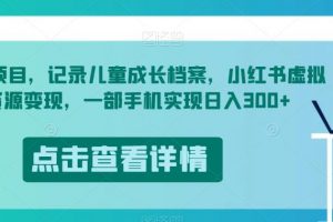 冷门项目,记录儿童成长档案,小红书虚拟资源变现,一部手机实现日入300+【揭秘】