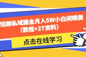 靠短剧私域掘金月入5W小白闭眼做(教程+2T资料)
