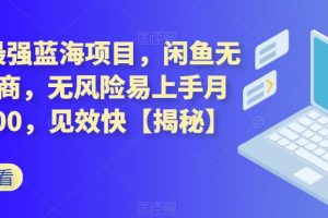 2023最强蓝海项目,闲鱼无货源电商,无风险易上手月赚10000,见效快【揭秘】