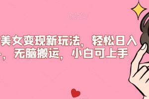 比基尼美女变现新玩法,轻松日入500+,无脑搬运,小白可上手【揭秘】