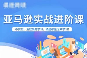 亚马逊FBA运营进阶课,不实战,没效果的学习,统统都是无效学习