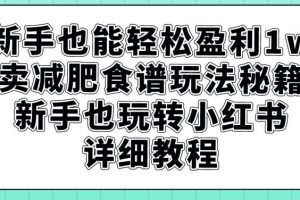 新手也能轻松盈利1w,卖减肥食谱玩法秘籍,新手也玩转小红书详细教程【揭秘】