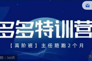 纪主任·多多特训营高阶班【9月13日更新】,拼多多最新玩法技巧落地实操