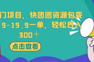 独家冷门项目,快团团资源包变现,9.9-19.9一单,轻松日入300+【揭秘】