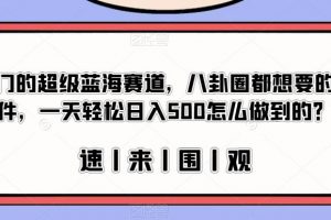 冷门的超级蓝海赛道,八卦圈都想要的文件,一天轻松日入500怎么做到的?【揭秘】