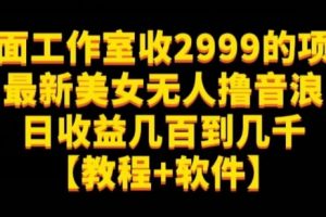外面工作室收2999的项目最新美女无人撸音浪日收益几百到几千【教程+软件】(仅揭秘)