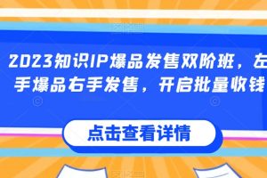 2023知识IP爆品发售双阶班,左手爆品右手发售,开启批量收钱