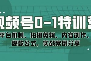 视频号0-1特训营:平台机制、拍摄剪辑、内容创作、爆款公式,实战案例分享