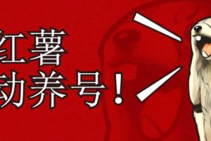 小红书养号秘籍,如何自动涨粉清晰系统标签打造高权重账号【揭秘】