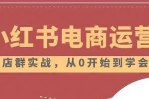 小红书店铺运营从小白到大神2.0,从入门到精通