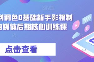 从剪辑到调色0基础新手影视制作,自媒体后期核心训练课