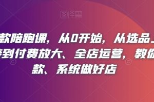 淘系爆款陪跑课,从0开始,从选品上架操作链接到付费放大、全店运营,教你打爆款、系统做好店