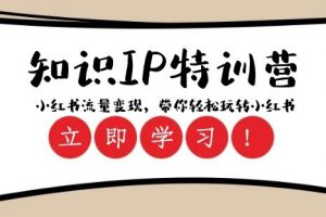 知识IP特训营 :小红书-流量变现,带你轻松玩转小红书(23节视频课)