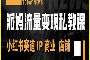派妈流量变现私教课,小红书赛道IP  商业  店铺