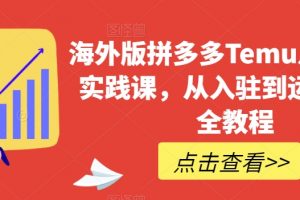 海外版拼多多Temu从零到一实践课,从入驻到运营的最全教程