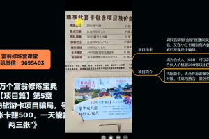 十万个富翁修炼宝典之5.揭秘旅游卡项目骗局,号称“一张卡赚500,一天能卖两三张”