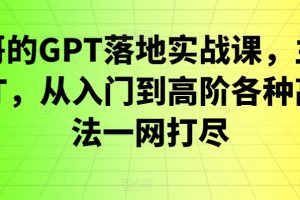 浩哥的GPT落地实战课,主攻GPT,从入门到高阶各种高端法一网打尽