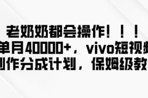 老奶奶都会操作,新平台无脑操作,单月40000+,vivo短视频创作分成计划【揭秘】
