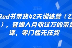 小Red书带货42天训练营(2.0版),普通人月收过万的带货课,零门槛无压货
