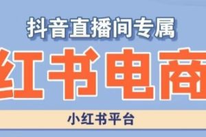 小红书电商高级运营课程,实操教学+案例分析