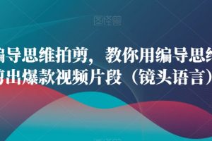 用编导思维拍剪,教你用编导思维拍剪出爆款视频片段(镜头语言)