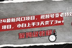 2024最新风口项目,视频号变老特效项目,电脑小白上手3天卖了3w+,保姆级教程【揭秘】