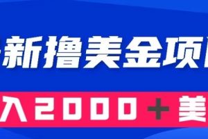 最新撸美金项目:搬运国内小说爽文,只需复制粘贴,月入2000+美金【揭秘】