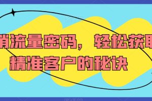 营销流量密码,轻松获取精准客户的秘诀