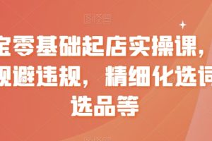 淘宝零基础起店实操课,店铺规避违规,精细化选词及选品等