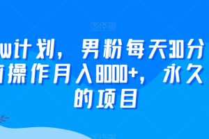 2024yw计划,男粉每天30分钟,无脑操作月入8000+,永久可做的项目【揭秘】