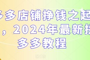 多多店铺挣钱之起店,2024年最新拼多多教程