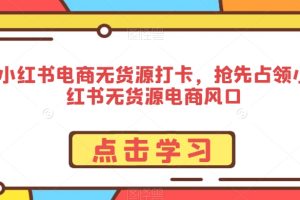 小红书电商无货源打卡,抢先占领小红书无货源电商风口