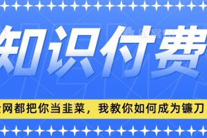 2024最新知识付费项目,小白也能轻松入局,全网都在教你做项目,我教你做镰刀【揭秘】