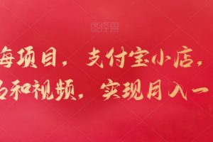 新蓝海项目,支付宝小店,搬运商品和视频,实现月入一万+【揭秘】