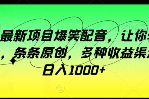 龙年最新项目爆笑配音,让你轻松涨粉,条条原创,多种收益渠道,日入1000+【揭秘】