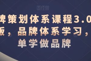 品牌策划体系课程3.0升级版,品牌体系学习,简单学做品牌