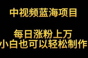 中视频蓝海项目，解读英雄人物生平，每日涨粉上万，小白也可以轻松制作，月入过万不是梦【揭秘】
