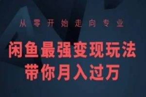 从零开始走向专业,闲鱼最强变现玩法带你月入过万