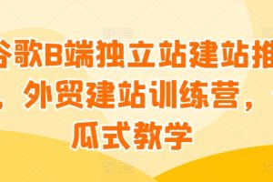 谷歌B端独立站建站推广,外贸建站训练营,傻瓜式教学