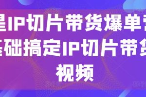 明星IP切片带货爆单营,0基础搞定IP切片带货短视频