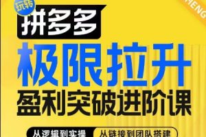 拼多多极限拉升盈利突破进阶课,从算法到玩法,从玩法到团队搭建,体系化系统性帮助商家实现利润提升