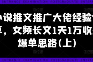小说推文推广大佬经验分享,女频长文1天1万收益爆单思路(上)