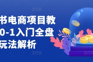 小红书电商项目教程,0-1入门全盘玩法解析