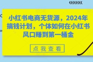 小红书电商无货源,2024年搞钱计划,个体如何在小红书风口赚到第一桶金