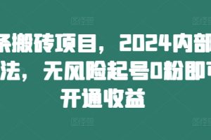 头条搬砖项目,2024内部新玩法,无风险起号0粉即可开通收益